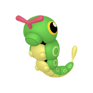 Caterpie