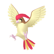 Pidgeotto