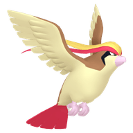 Pidgeot