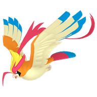 Pidgeot