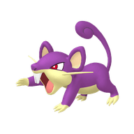 Rattata