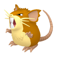 Raticate
