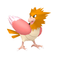 Spearow