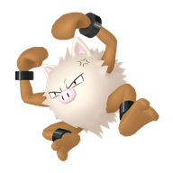 Primeape