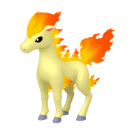 Ponyta