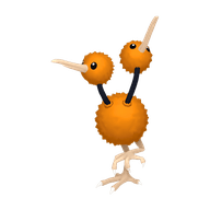 Doduo