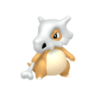 Cubone