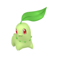 Chikorita