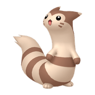 Furret