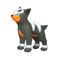 Houndour