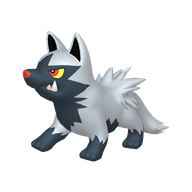 Poochyena