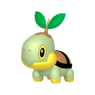 Turtwig