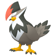 Staraptor
