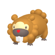 Bidoof