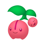 Cherubi