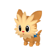 Lillipup