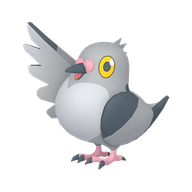 Pidove