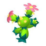 Maractus