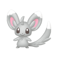 Minccino