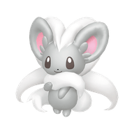 Cinccino