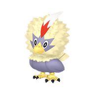 Rufflet