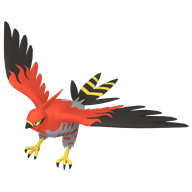 Talonflame