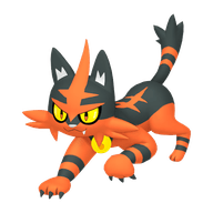 Torracat