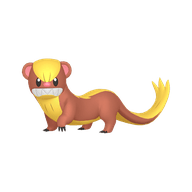 Yungoos