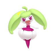 Steenee