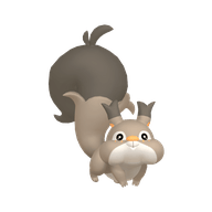Skwovet