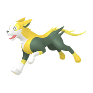 Boltund